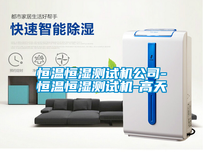 恒温恒湿测试机公司-恒温恒湿测试机-高天