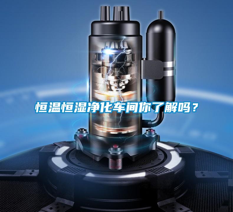 恒温恒湿净化车间你了解吗？