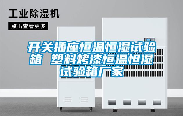 开关插座恒温恒湿试验箱 塑料烤漆恒温怛湿试验箱厂家