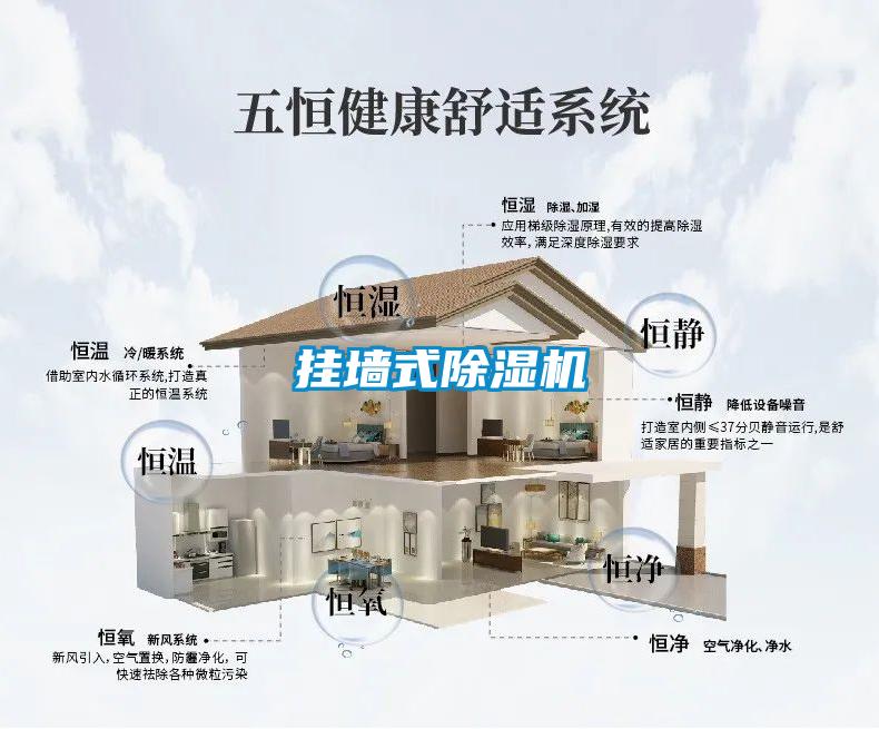 挂墙式除湿机