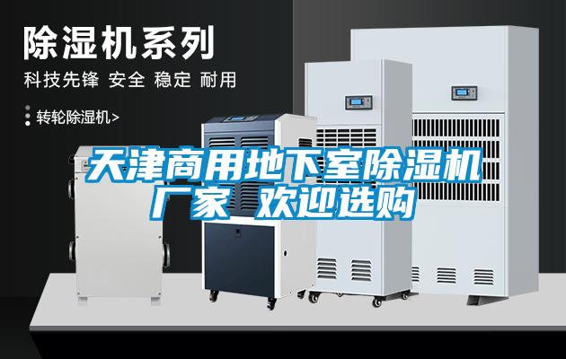 天津商用地下室除湿机厂家 欢迎选购