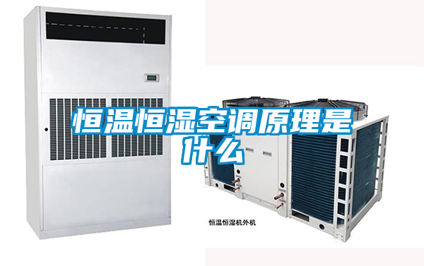 恒温恒湿空调原理是什么