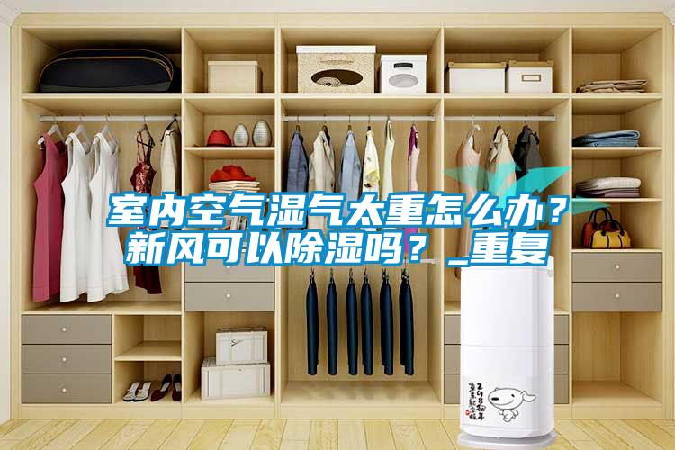 室内空气湿气太重怎么办？新风可以除湿吗？_重复
