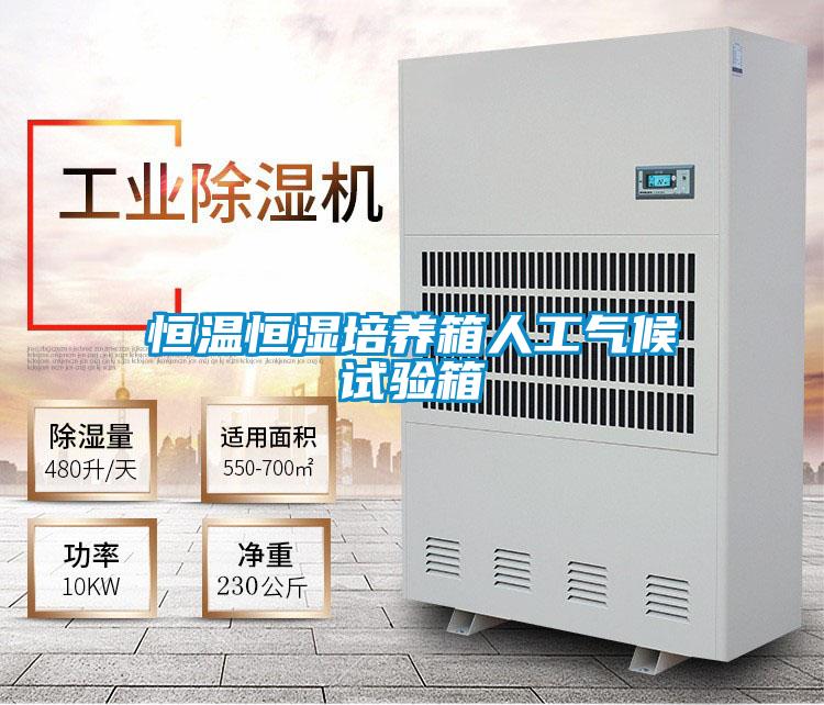 恒温恒湿培养箱人工气候试验箱