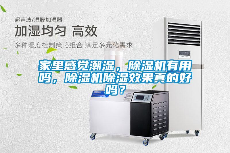 家里感觉潮湿，除湿机有用吗，除湿机除湿效果真的好吗？
