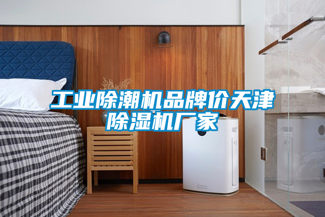 工业除潮机品牌价天津除湿机厂家