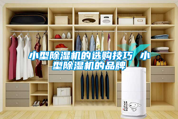 小型除湿机的选购技巧 小型除湿机的品牌