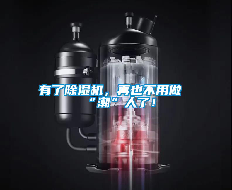 有了除湿机，再也不用做“潮”人了！