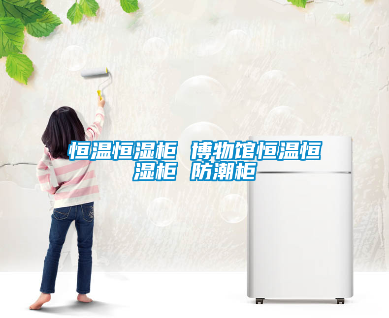 恒温恒湿柜 博物馆恒温恒湿柜 防潮柜