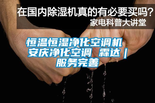 恒温恒湿净化空调机 安庆净化空调 霖达｜服务完善