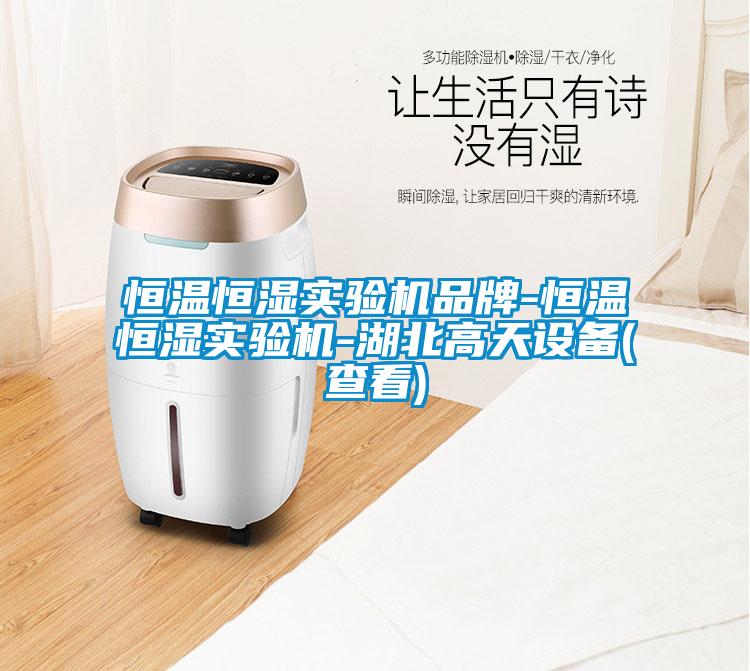 恒温恒湿实验机品牌-恒温恒湿实验机-湖北高天设备(查看)
