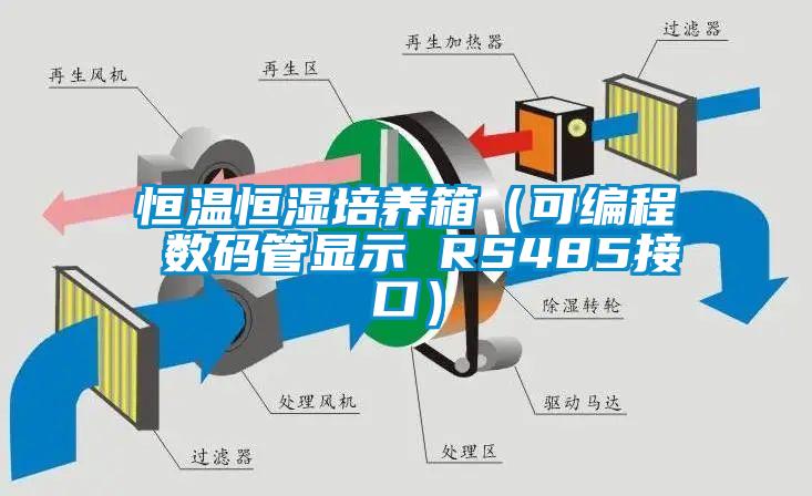 恒温恒湿培养箱（可编程 数码管显示 RS485接口）
