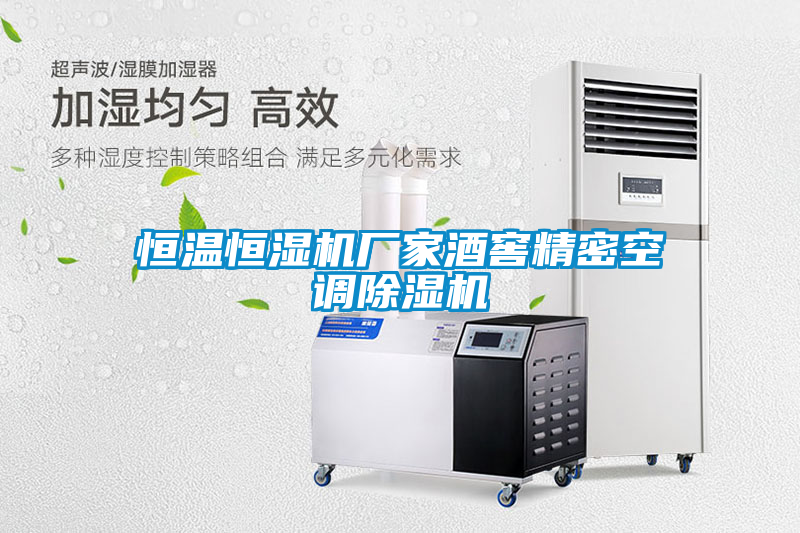 恒温恒湿机厂家酒窖精密空调除湿机