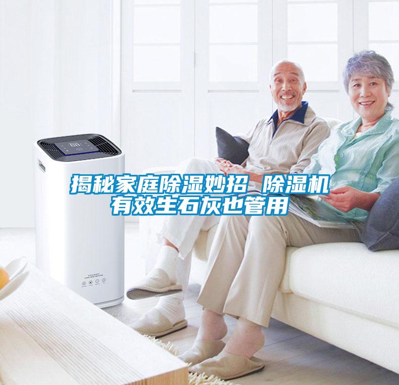 揭秘家庭除湿妙招 除湿机有效生石灰也管用