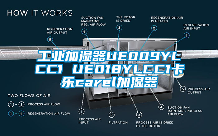 工业加湿器UE009YLCC1 UE018YLCC1卡乐carel加湿器