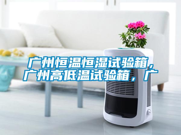 广州恒温恒湿试验箱，广州高低温试验箱，广
