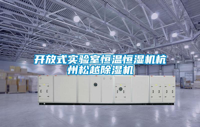 开放式实验室恒温恒湿机杭州松越除湿机