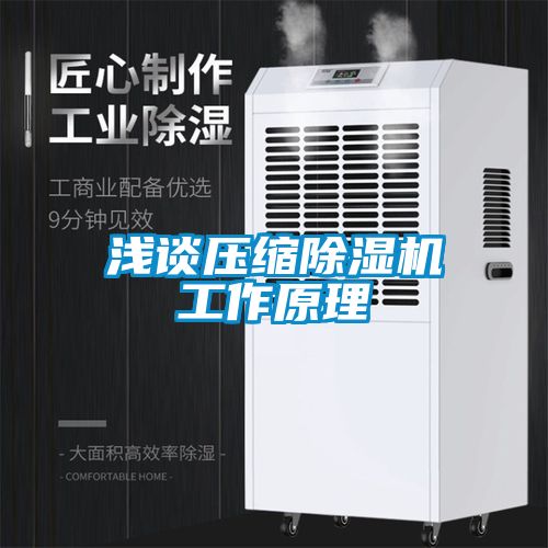 浅谈压缩除湿机工作原理