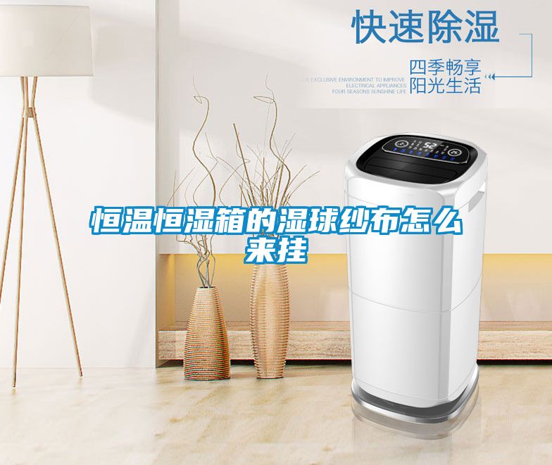 恒温恒湿箱的湿球纱布怎么来挂