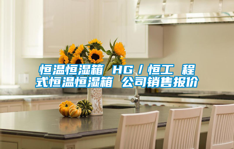 恒温恒湿箱 HG／恒工 程式恒温恒湿箱 公司销售报价