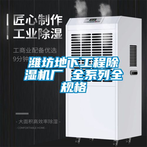 潍坊地下工程除湿机厂 全系列全规格