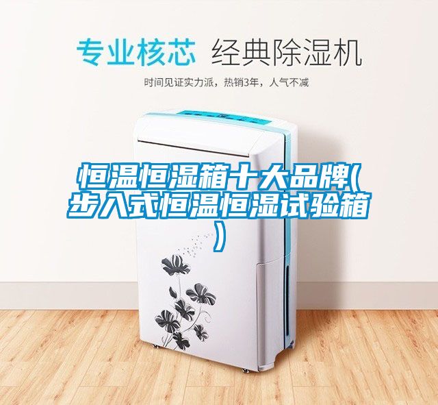 恒温恒湿箱十大品牌(步入式恒温恒湿试验箱)