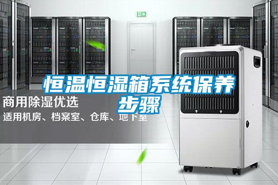 恒温恒湿箱系统保养步骤