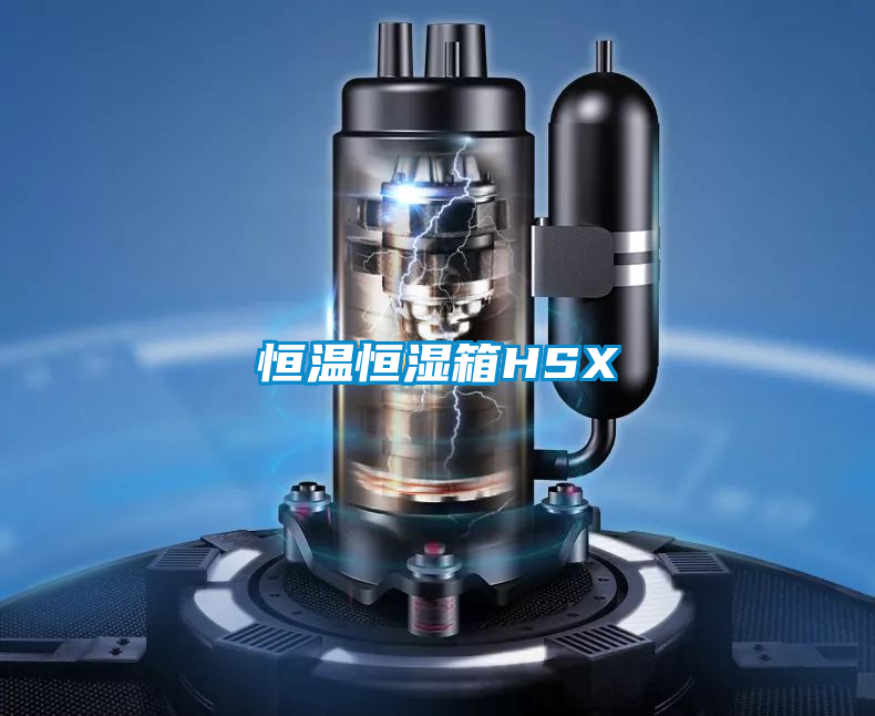恒温恒湿箱HSX