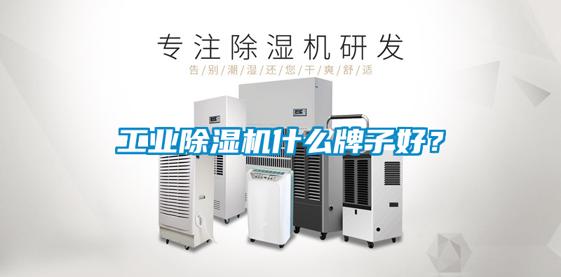 工业除湿机什么牌子好？