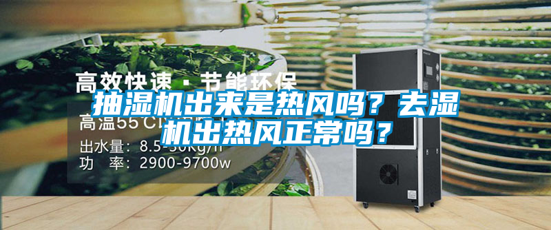 抽湿机出来是热风吗？去湿机出热风正常吗？