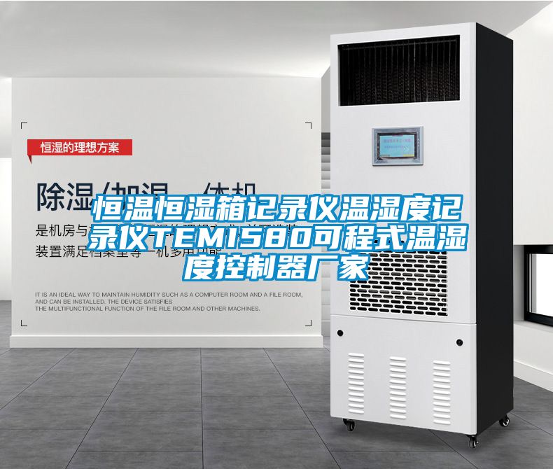 恒温恒湿箱记录仪温湿度记录仪TEMI580可程式温湿度控制器厂家
