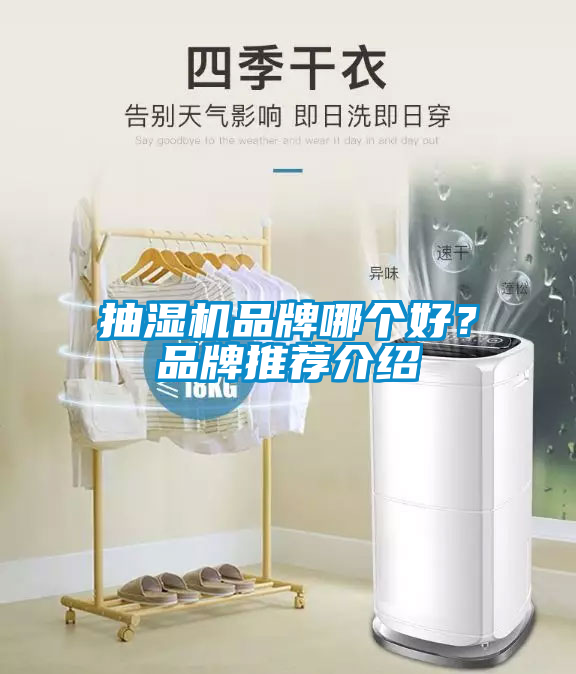 抽湿机品牌哪个好？品牌推荐介绍