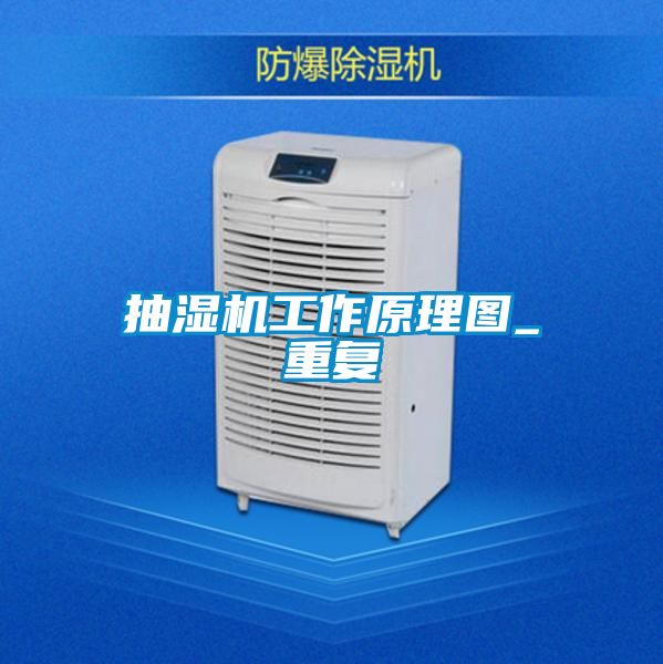 抽湿机工作原理图_重复