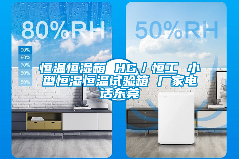 恒温恒湿箱 HG／恒工 小型恒湿恒温试验箱 厂家电话东莞