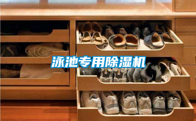 泳池专用除湿机