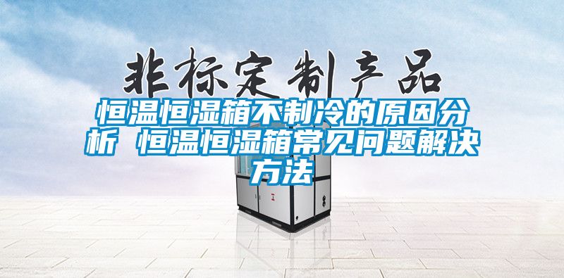 恒温恒湿箱不制冷的原因分析 恒温恒湿箱常见问题解决方法