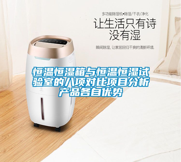 恒温恒湿箱与恒温恒湿试验室的八项对比项目分析产品各自优势