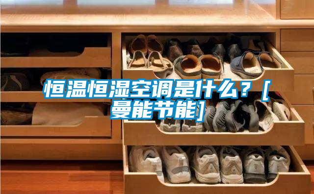恒温恒湿空调是什么？[曼能节能]