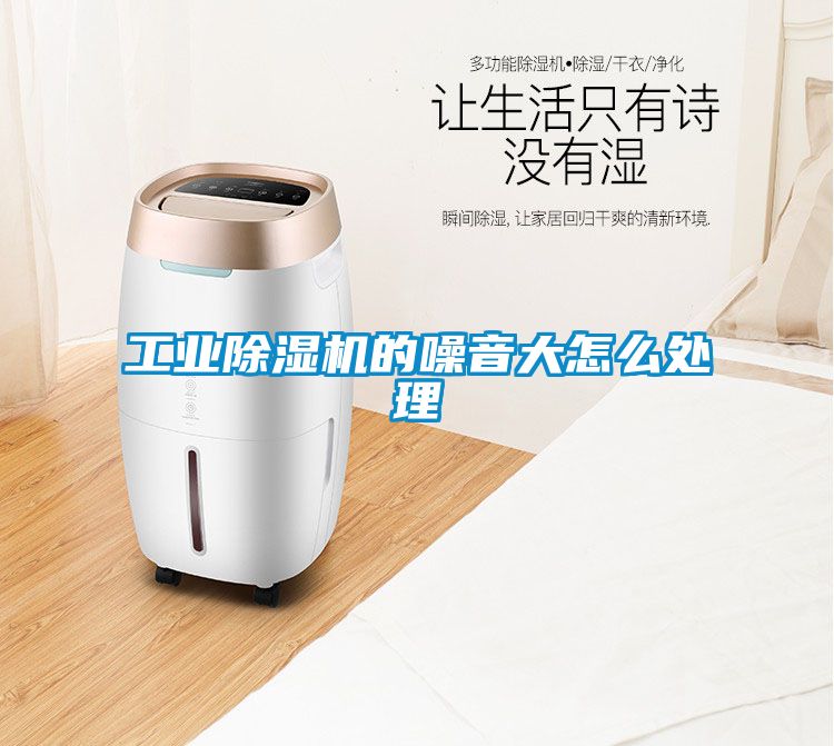 工业除湿机的噪音大怎么处理