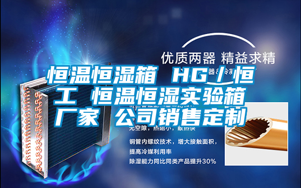 恒温恒湿箱 HG／恒工 恒温恒湿实验箱厂家 公司销售定制