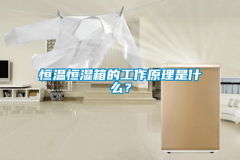 恒温恒湿箱的工作原理是什么？