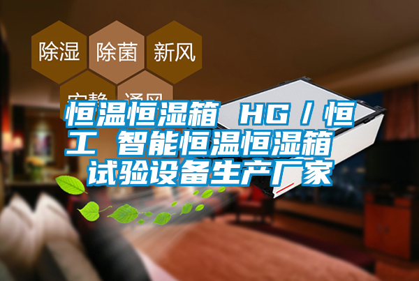 恒温恒湿箱 HG／恒工 智能恒温恒湿箱 试验设备生产厂家