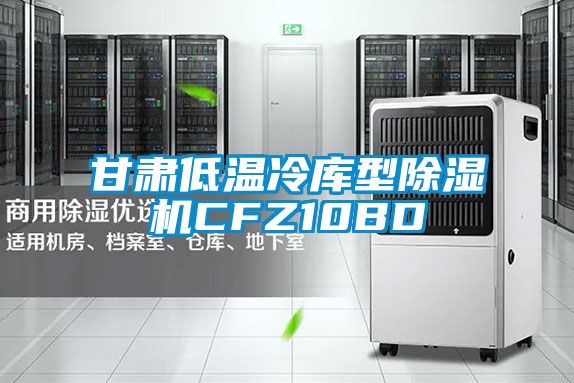 甘肃低温冷库型除湿机CFZ10BD