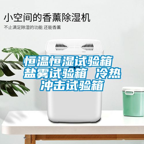 恒温恒湿试验箱 盐雾试验箱 冷热冲击试验箱