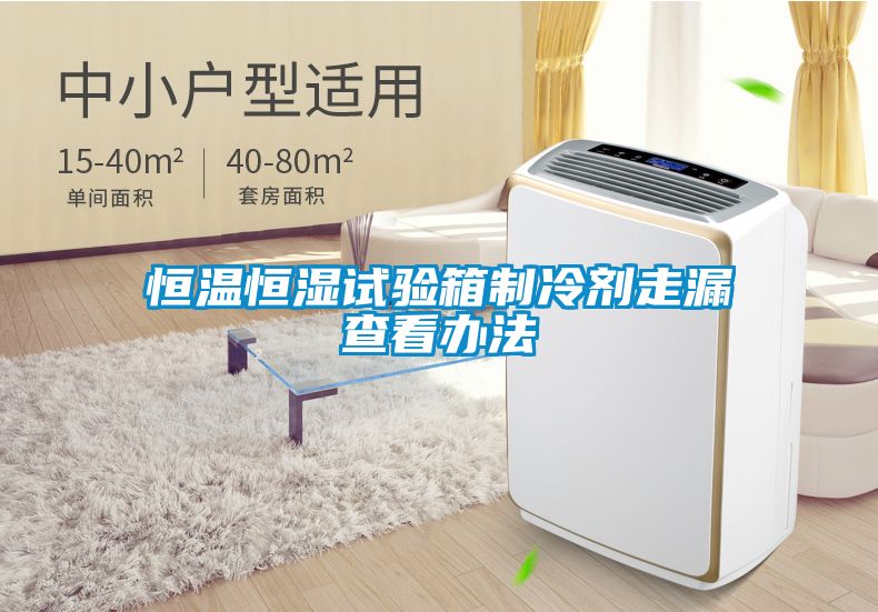 恒温恒湿试验箱制冷剂走漏查看办法