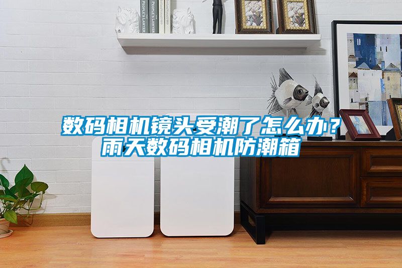 数码相机镜头受潮了怎么办？雨天数码相机防潮箱