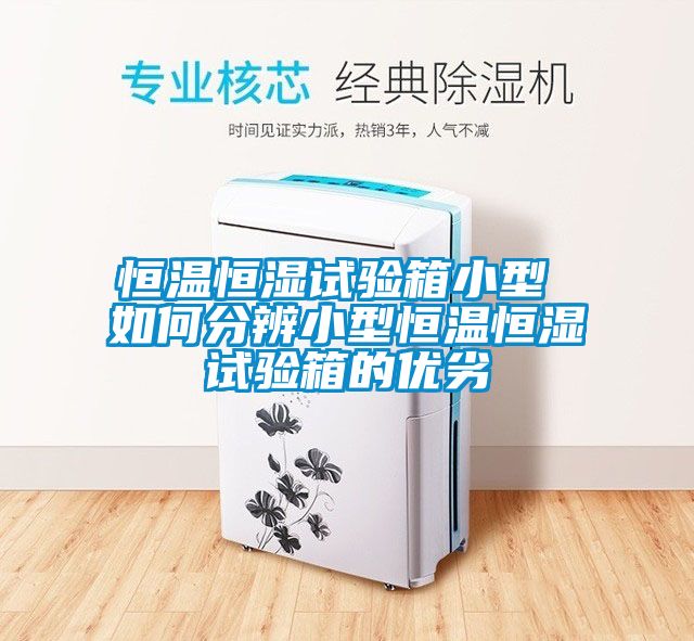 恒温恒湿试验箱小型 如何分辨小型恒温恒湿试验箱的优劣