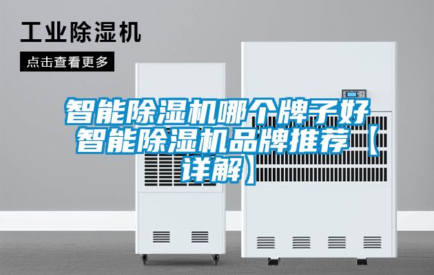 智能除湿机哪个牌子好 智能除湿机品牌推荐【详解】