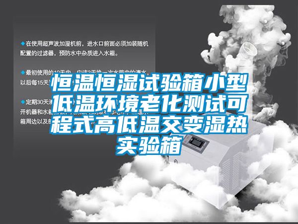 恒温恒湿试验箱小型低温环境老化测试可程式高低温交变湿热实验箱