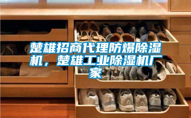 楚雄招商代理防爆除湿机，楚雄工业除湿机厂家